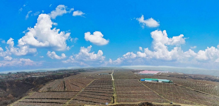 1684149565550077.jpg 皇甫生態(tài)全景圖006.jpg